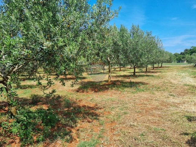 Terreno in vendita 2321 m² – Loborika