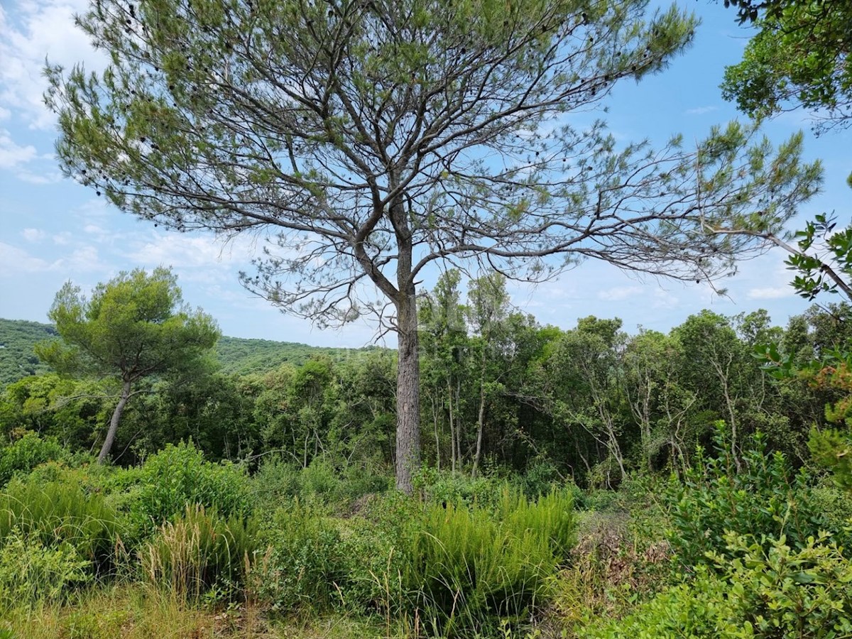 Parcela Na predaj - ISTARSKA MARČANA