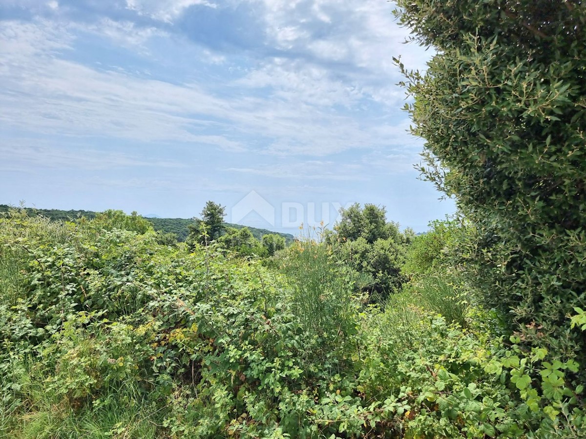 Parcela Na predaj - ISTARSKA MARČANA