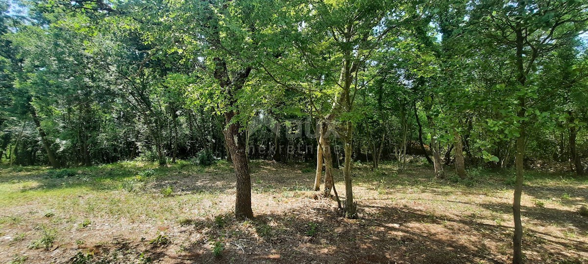 Land For sale - ISTARSKA ROVINJ