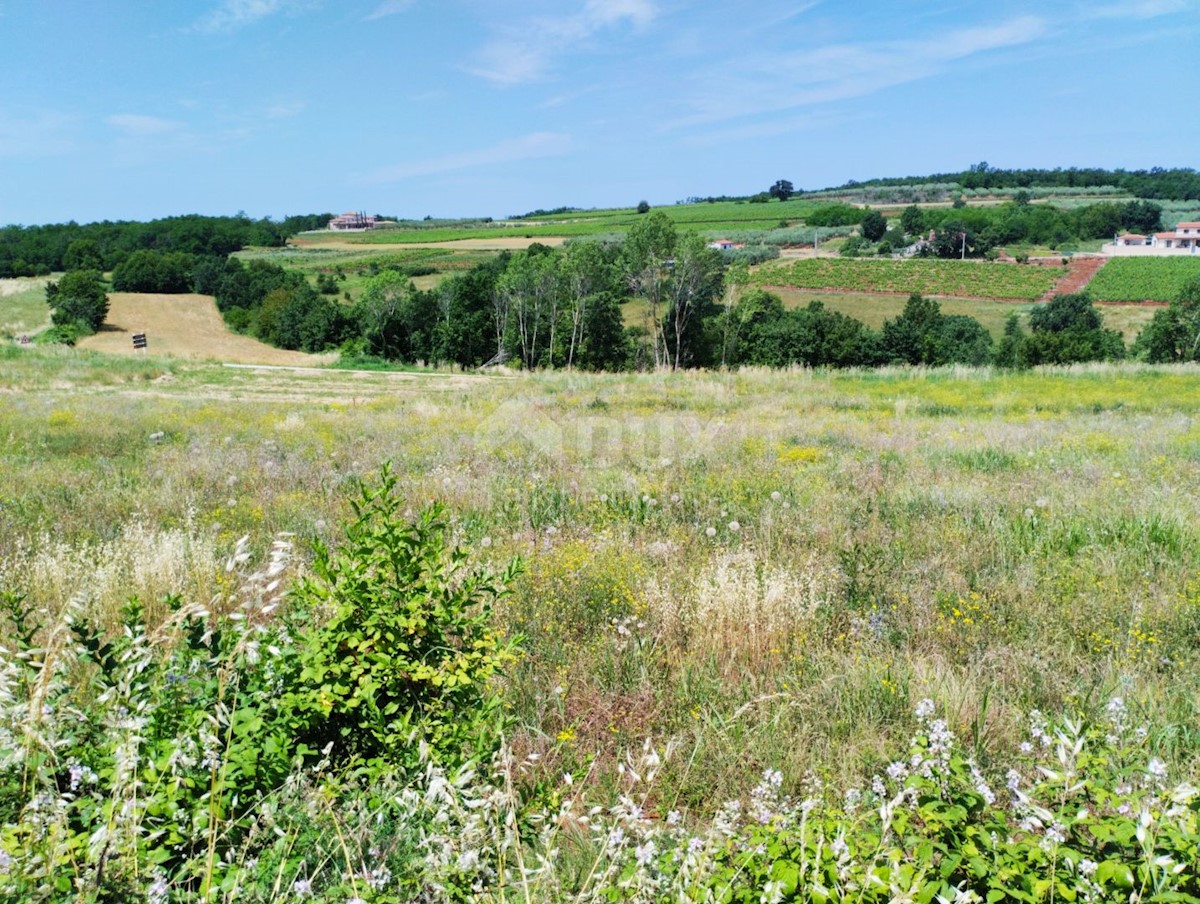 Land For sale - ISTARSKA VIŽINADA