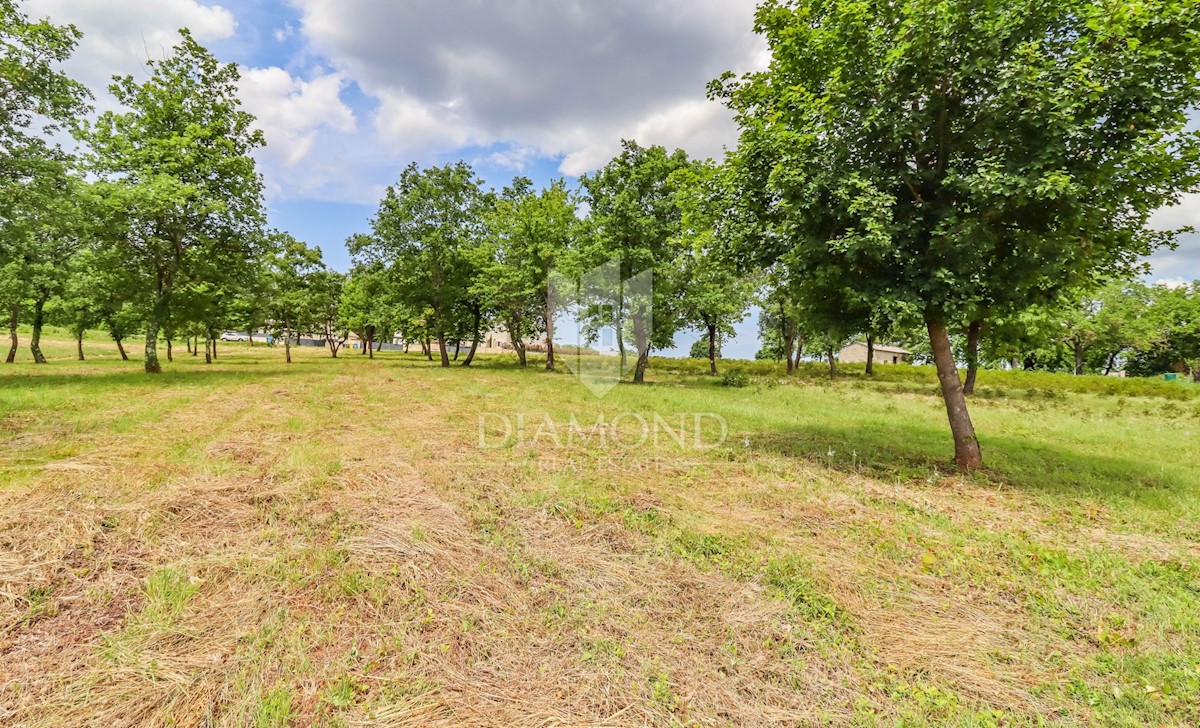 Land For sale POREČ