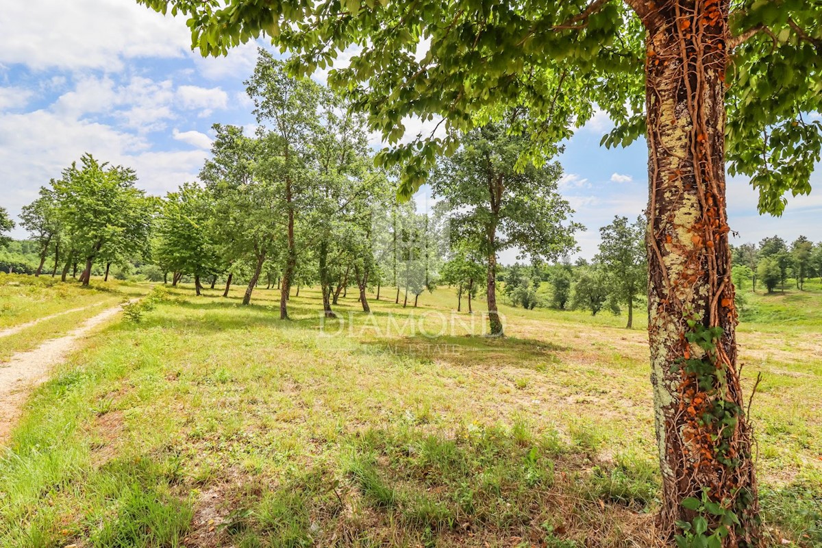 Terreno In vendita POREČ