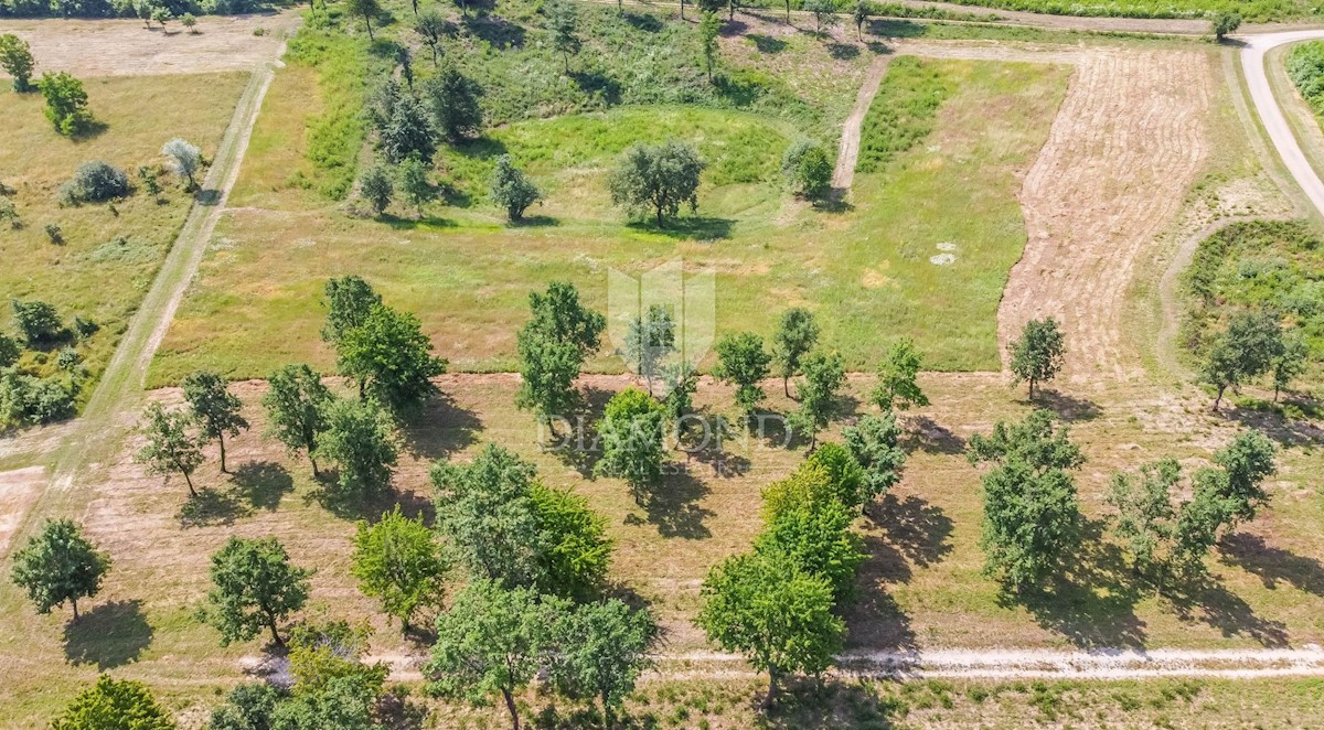 Land For sale - ISTARSKA POREČ