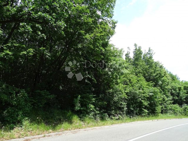 Pozemok na predaj 4000 m² – Saršoni