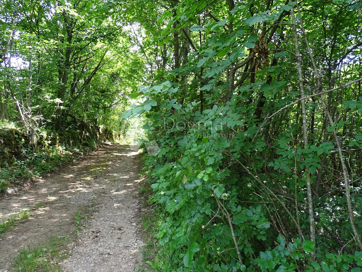 Terreno In vendita - PRIMORSKO-GORANSKA VIŠKOVO