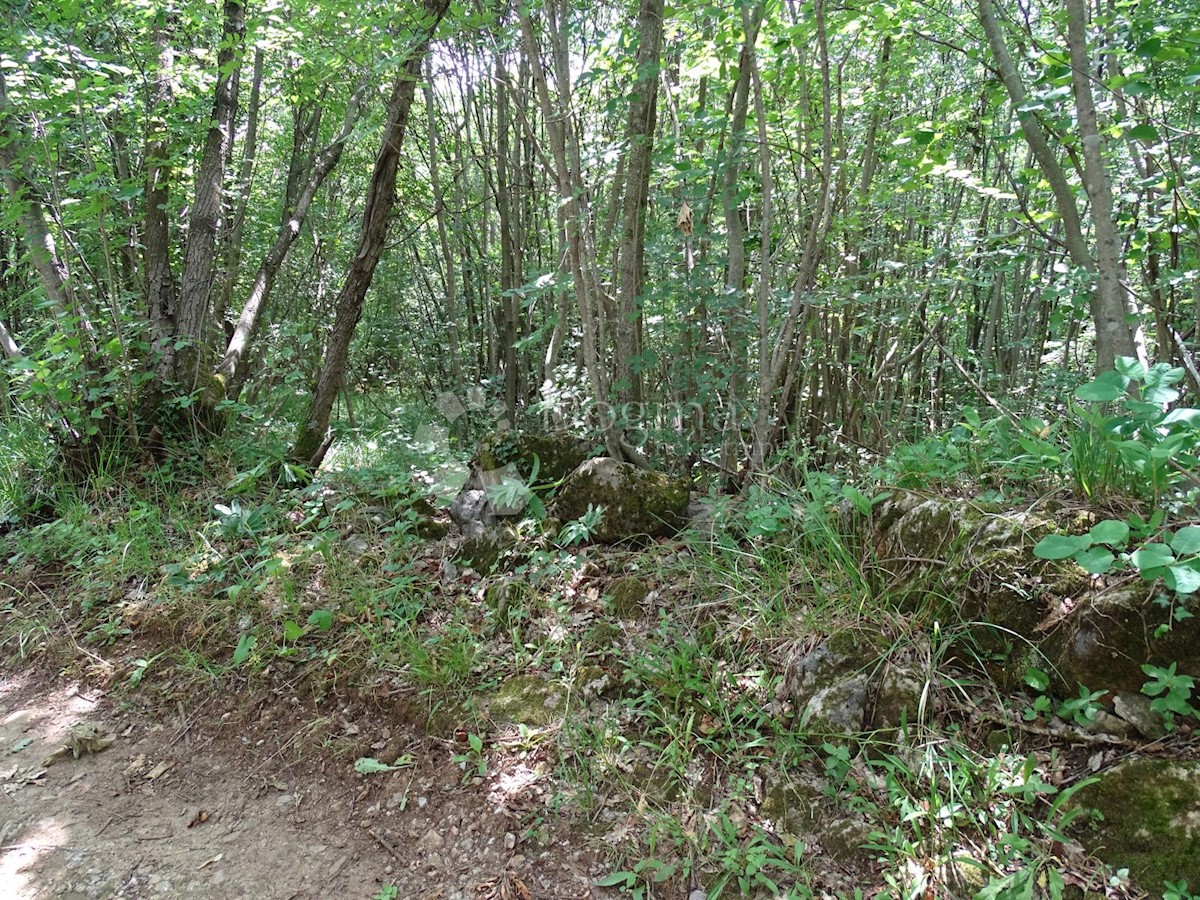 Parcela Naprodaj - PRIMORSKO-GORANSKA Viškovo