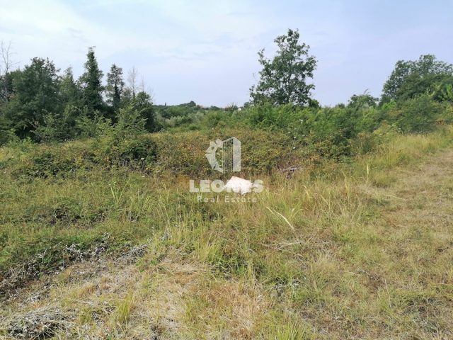 Pozemok na predaj 3618 m² – Brtonigla