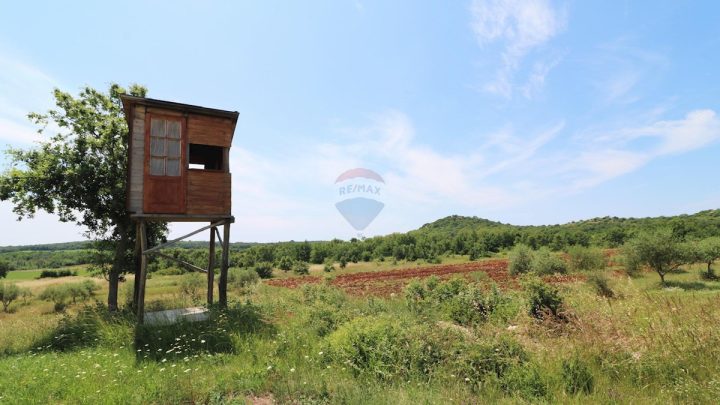 Zemljište na prodaju 43147 m² – Poreč