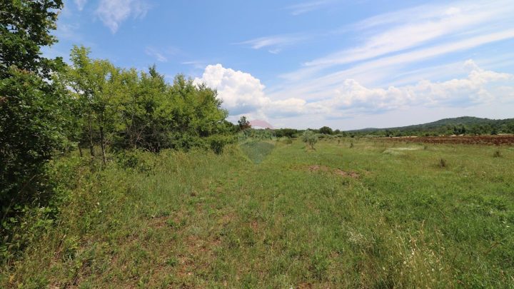 Grundstück Zu verkaufen - Istarska Poreč - foto 2/7