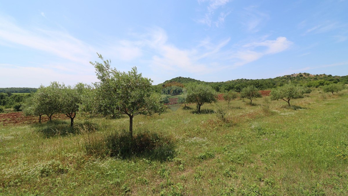 Pozemok Na predaj - ISTARSKA POREČ