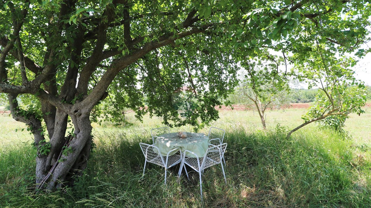 Pozemok Na predaj - ISTARSKA POREČ