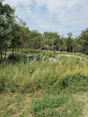 Terreno In vendita - Istarska Labin - foto 2/4
