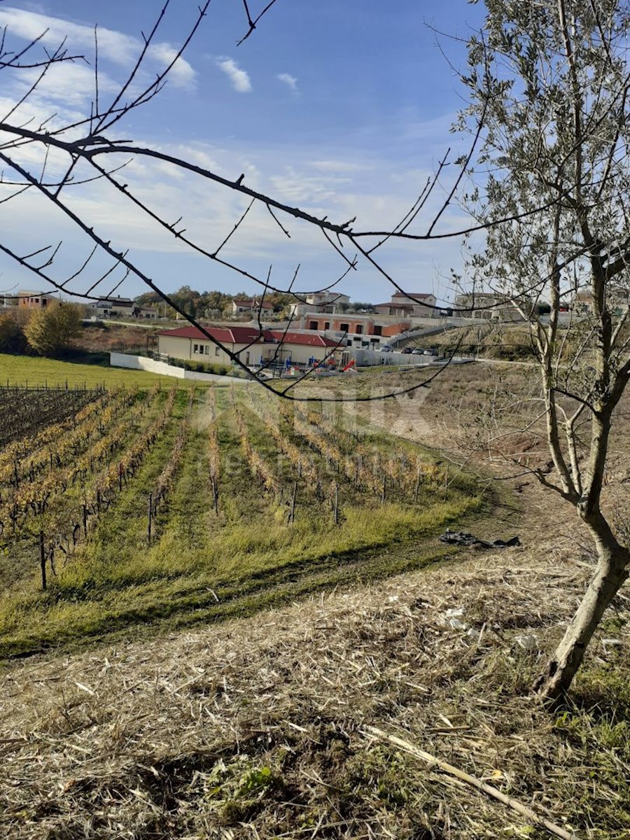 Pozemek Na prodej - ISTARSKA VIŽINADA