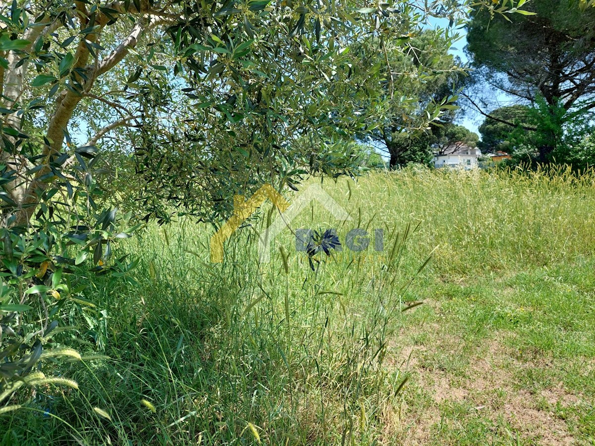 Pozemok Na predaj - ISTARSKA FAŽANA