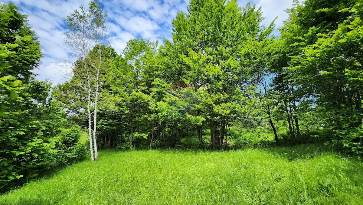 Grundstück Zu verkaufen - PRIMORSKO-GORANSKA RAVNA GORA