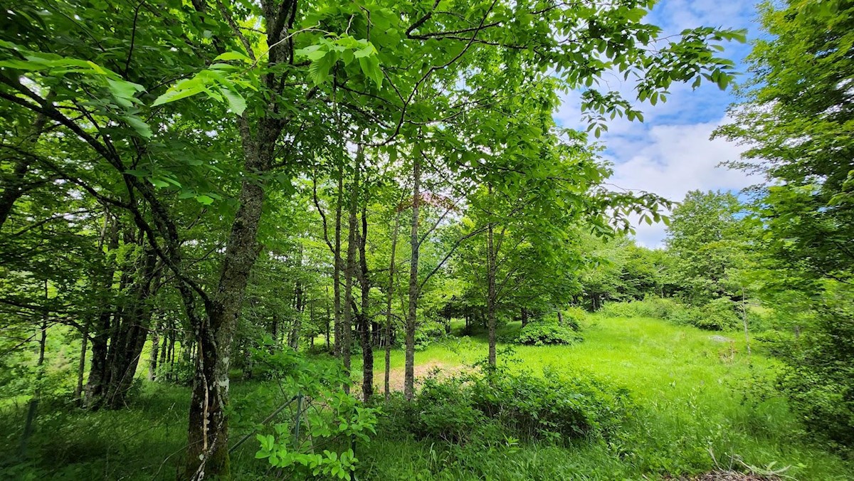 Grundstück Zu verkaufen - PRIMORSKO-GORANSKA RAVNA GORA