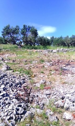 Land For sale - Splitsko-dalmatinska Brač - foto 3/4