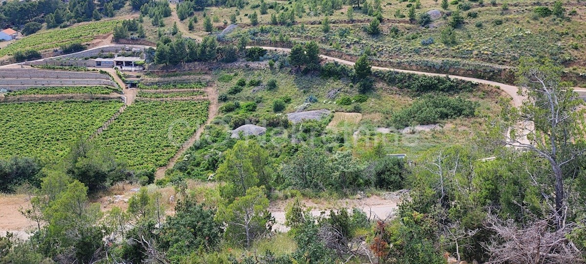 Terreno In vendita - SPLITSKO-DALMATINSKA BRAČ