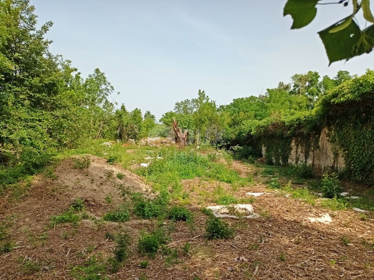 Dom Na predaj - ISTARSKA LABIN