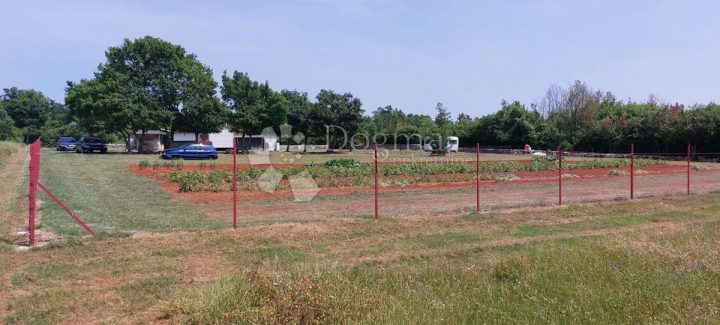 Zemljište na prodaju 20024 m² – Šušnjići