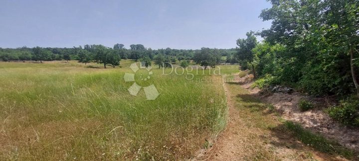 Grundstück Zu verkaufen - Istarska Poreč - foto 5/19