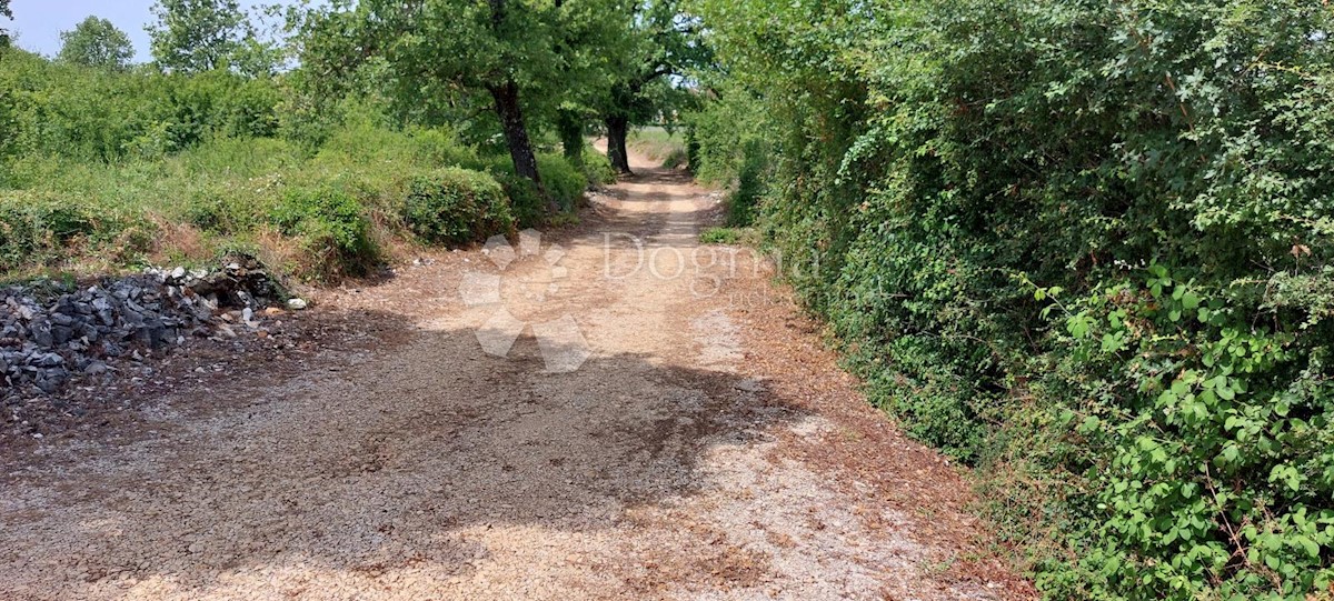 Pozemok Na predaj - ISTARSKA POREČ