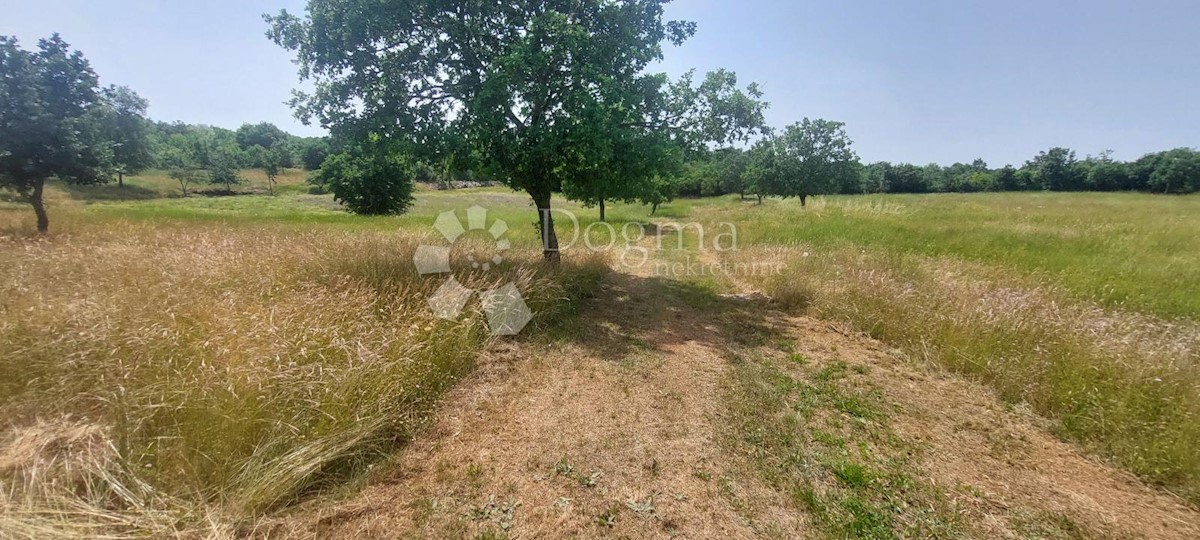 Pozemok Na predaj - ISTARSKA POREČ