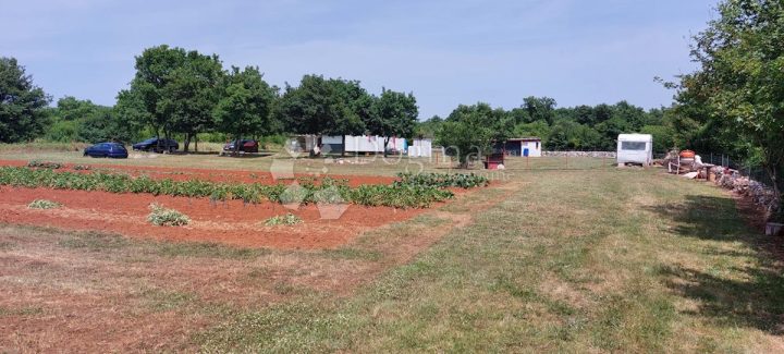 Terrain à vendre 11014 m² – Šušnjići