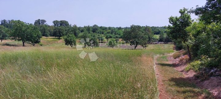 Parcela Na predaj - Istarska Poreč - foto 2/18