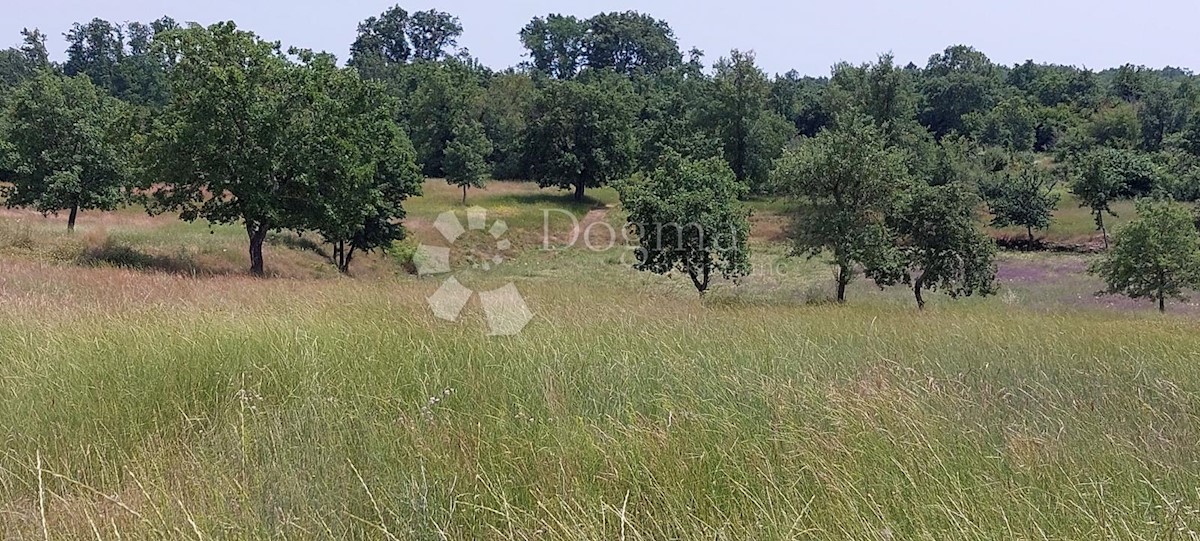 Zemljište Na prodaju - ISTARSKA POREČ