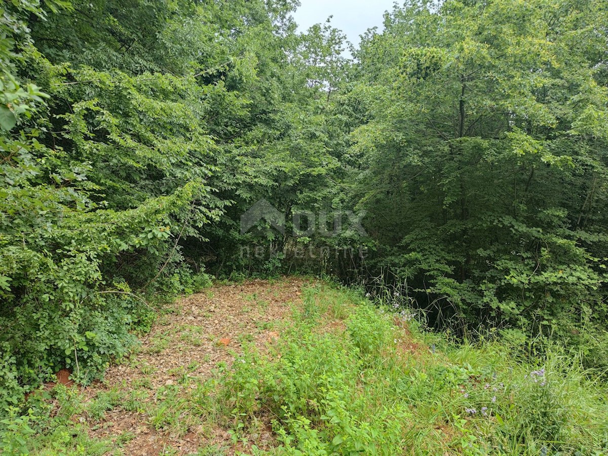 Terrain À vendre - Primorsko-goranska Klana - foto 2/2