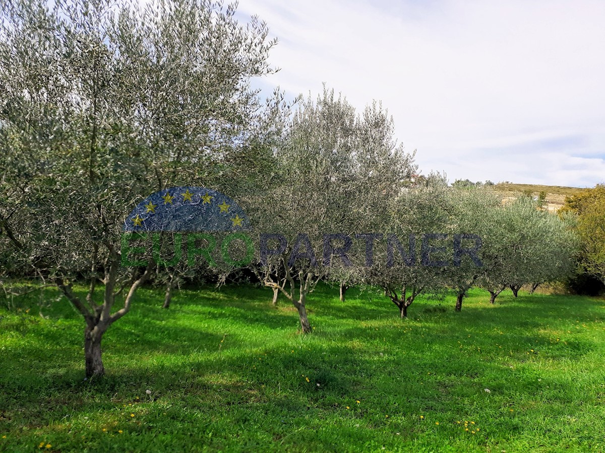 Pozemok Na predaj - ISTARSKA VIŽINADA