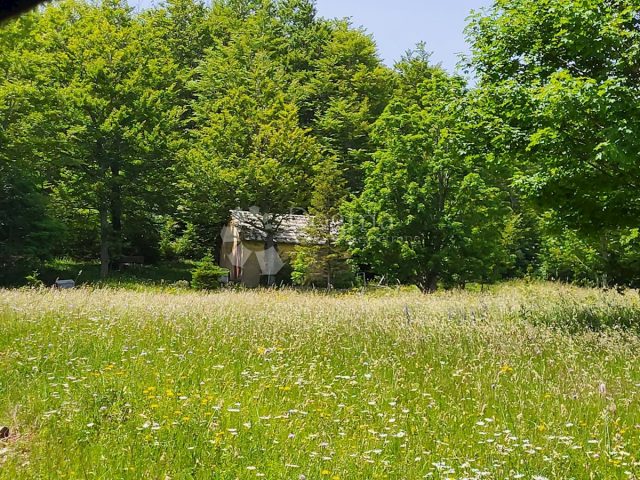 Terreno in vendita 7018 m² – Bribir