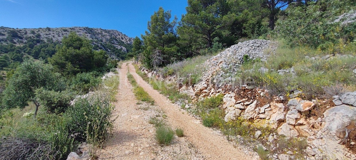 Pozemok Na predaj - SPLITSKO-DALMATINSKA BRAČ