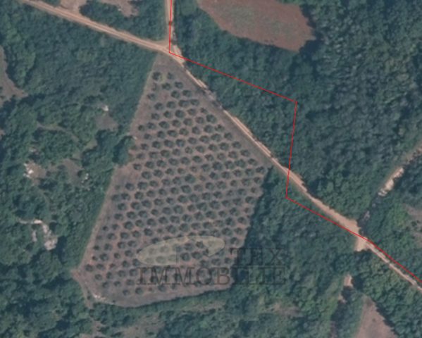 Terrain à vendre 8841 m² – Poreč