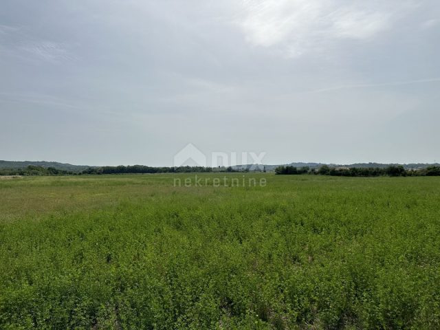 Parcela na predaj 25000 m² – Umag