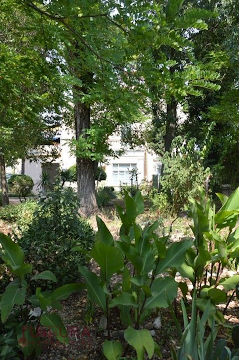 Flat For sale - ZADARSKA ZADAR