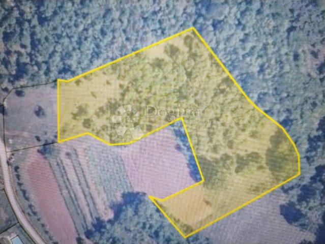 Land For sale - Istarska Karojba - foto 4/4