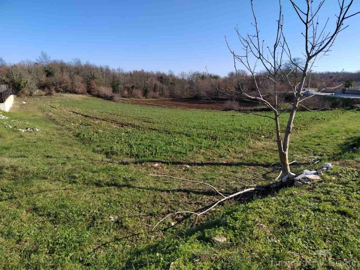 Zemljište Na prodaju - ISTARSKA POREČ