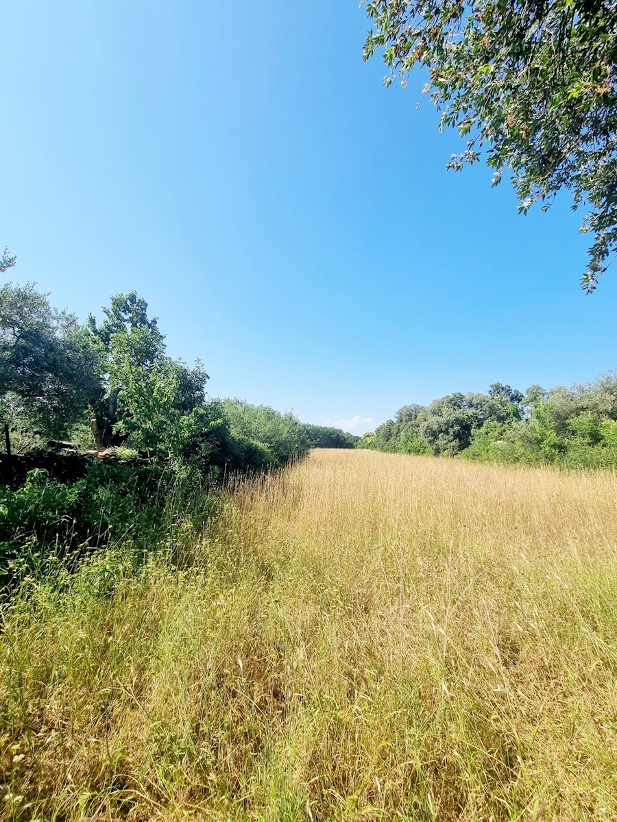 Land For sale - ISTARSKA LIŽNJAN