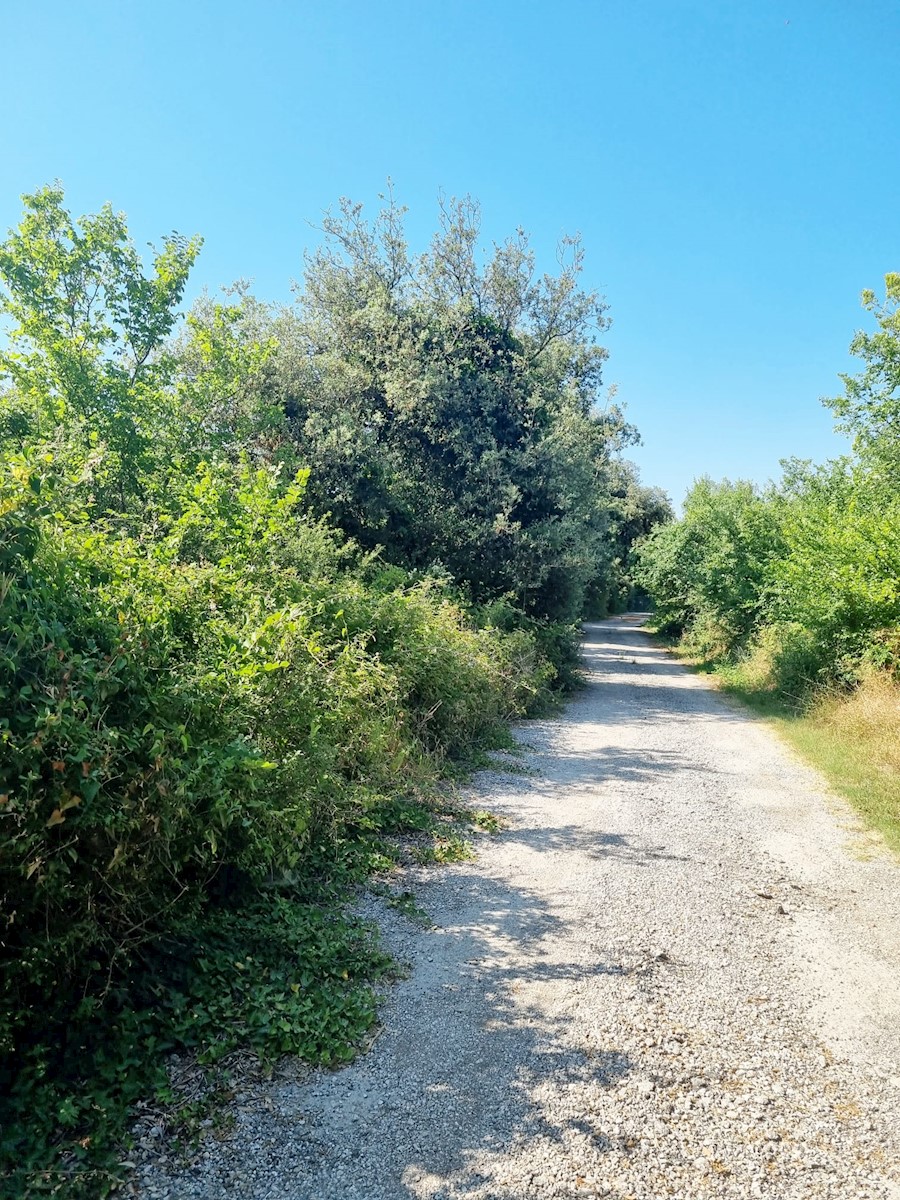 Grundstück Zu verkaufen - ISTARSKA LIŽNJAN