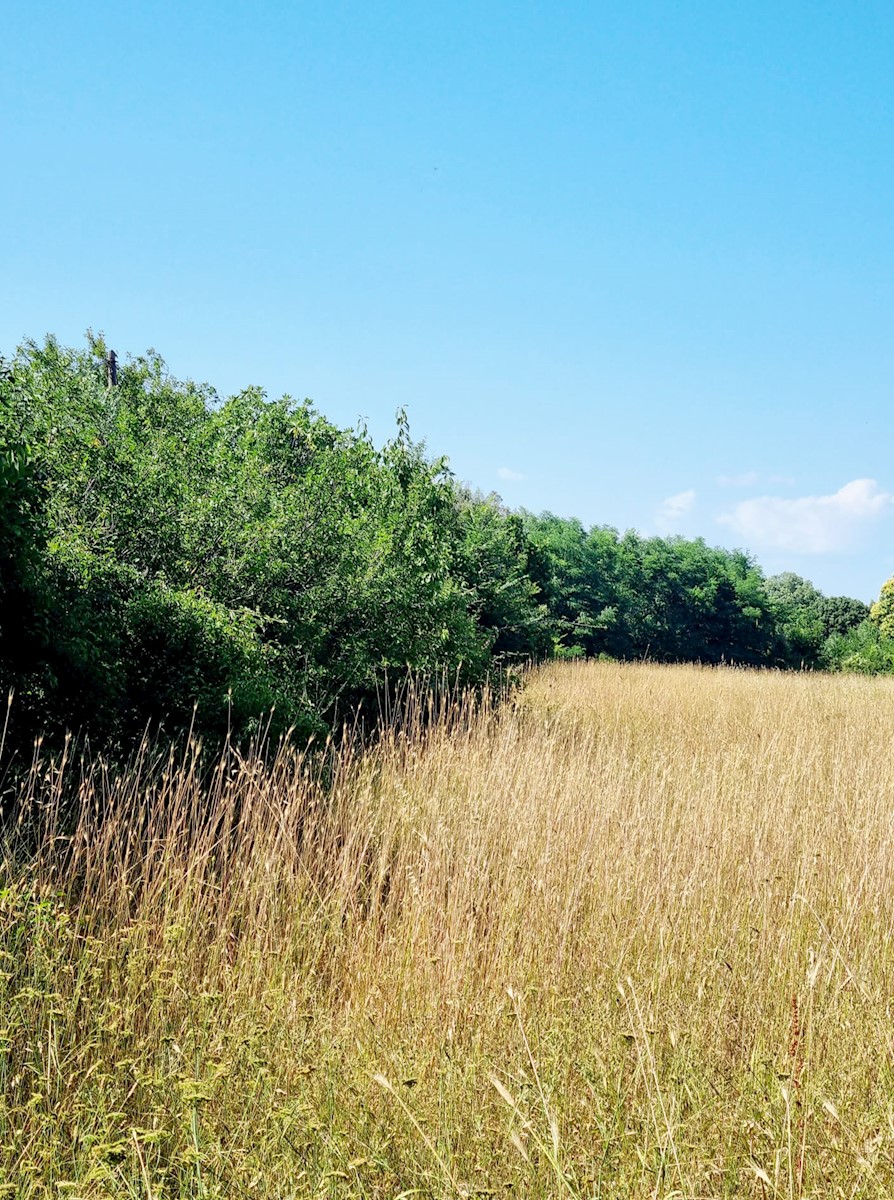 Land For sale - ISTARSKA LIŽNJAN