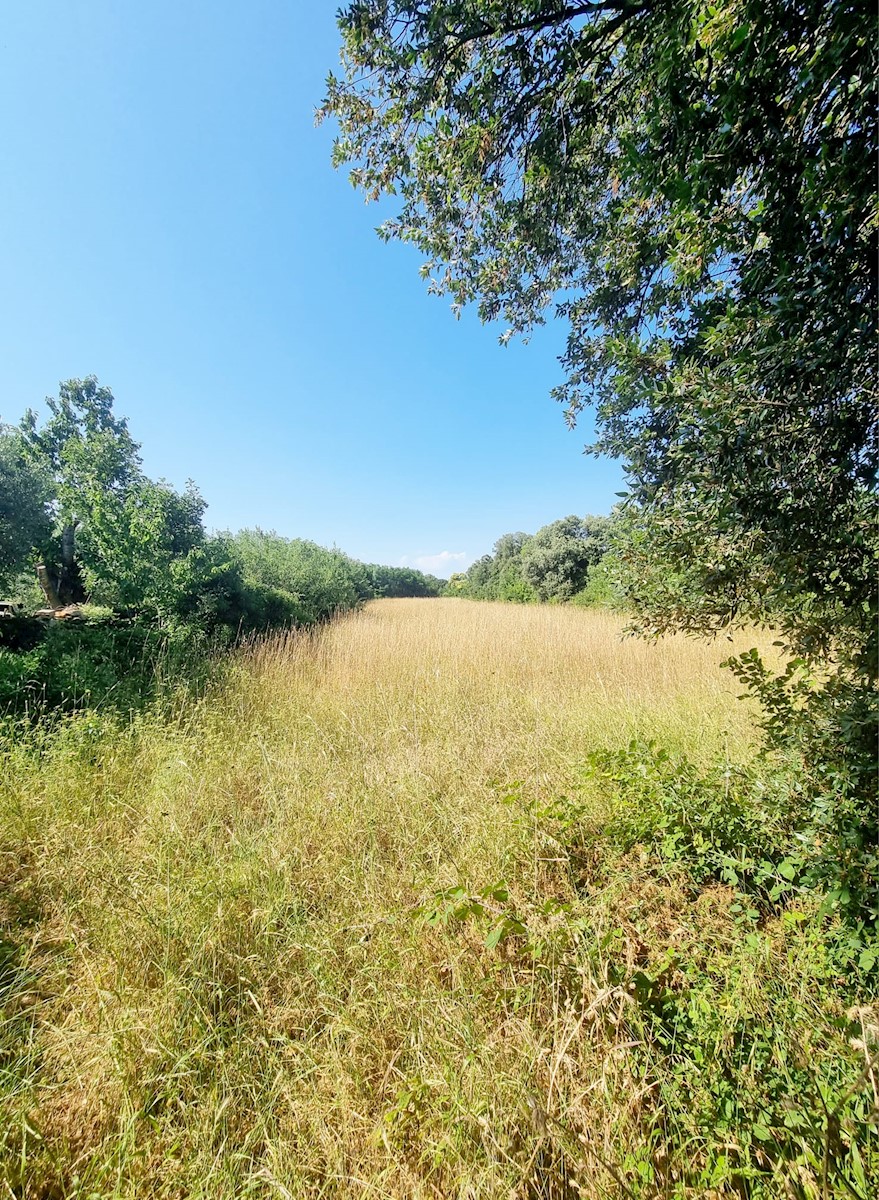 Land For sale - ISTARSKA LIŽNJAN