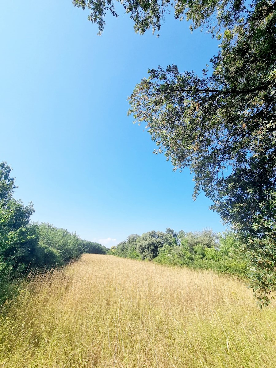 Land For sale - ISTARSKA LIŽNJAN