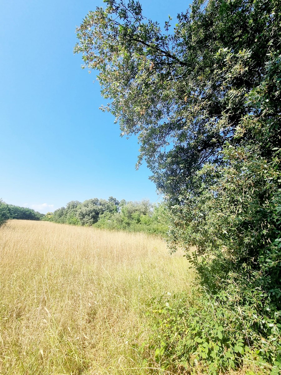 Land For sale - ISTARSKA LIŽNJAN