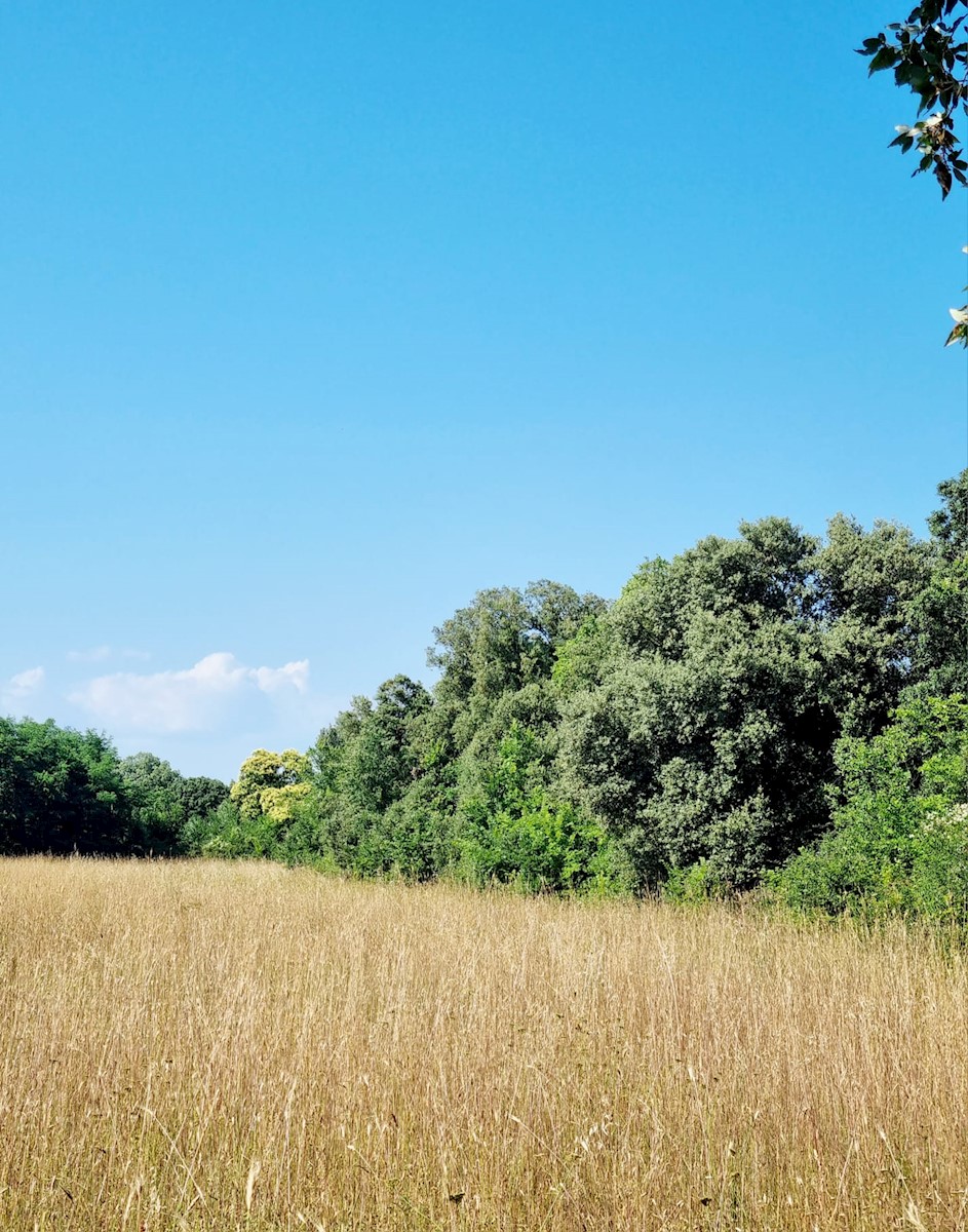 Pozemok Na predaj - ISTARSKA LIŽNJAN