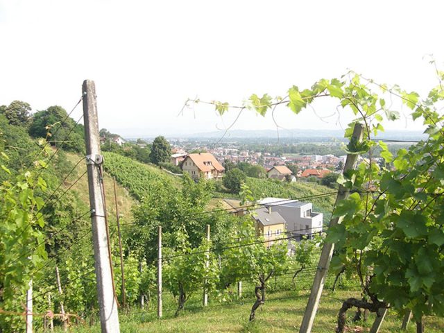 Pozemek Na prodej - Zagrebačka Samobor - foto 2/5