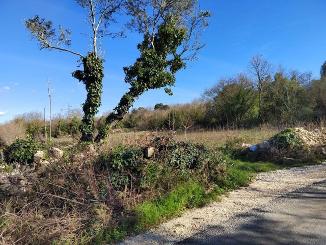 Parcela na predaj 1059 m² – Rovinj