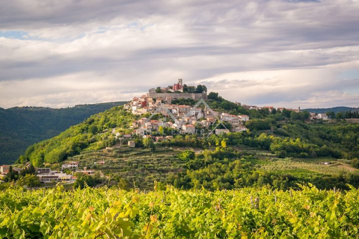 Land for sale 1765 m² – Motovun